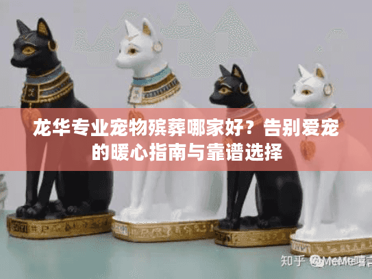 龙华专业宠物殡葬哪家好？告别爱宠的暖心指南与靠谱选择