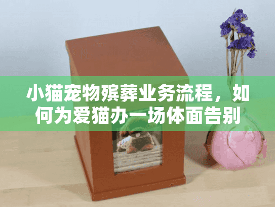 小猫宠物殡葬业务流程，如何为爱猫办一场体面告别？