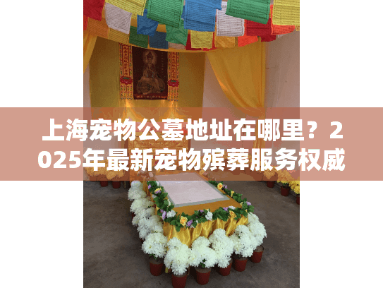 上海宠物公墓地址在哪里？2025年最新宠物殡葬服务权威解答