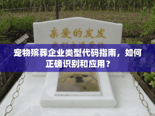 宠物殡葬企业类型代码指南，如何正确识别和应用？