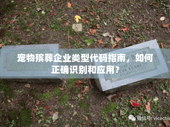 宠物殡葬企业类型代码指南，如何正确识别和应用？