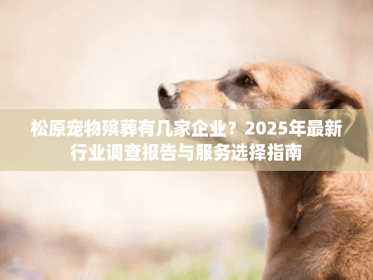松原宠物殡葬有几家企业？2025年最新行业调查报告与服务选择指南