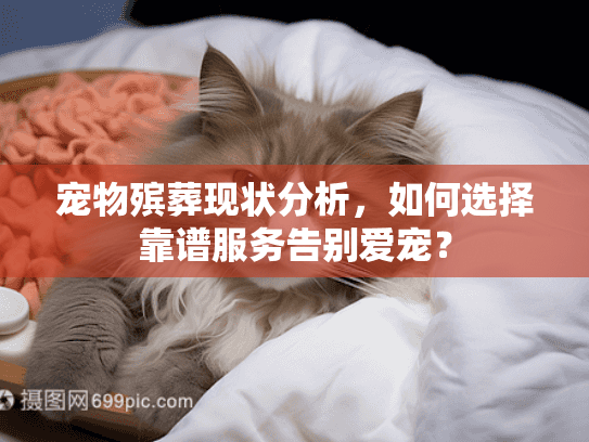 宠物殡葬现状分析，如何选择靠谱服务告别爱宠？