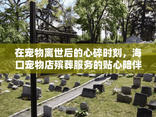 在宠物离世后的心碎时刻，海口宠物店殡葬服务的贴心陪伴与专业安排