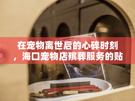 在宠物离世后的心碎时刻，海口宠物店殡葬服务的贴心陪伴与专业安排
