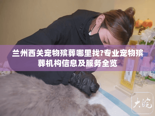 兰州西关宠物殡葬哪里找?专业宠物殡葬机构信息及服务全览