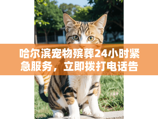 哈尔滨宠物殡葬24小时紧急服务，立即拨打电话告别爱宠