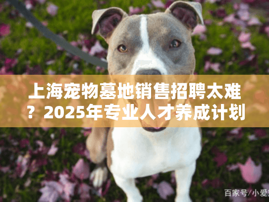 上海宠物墓地销售招聘太难？2025年专业人才养成计划启动