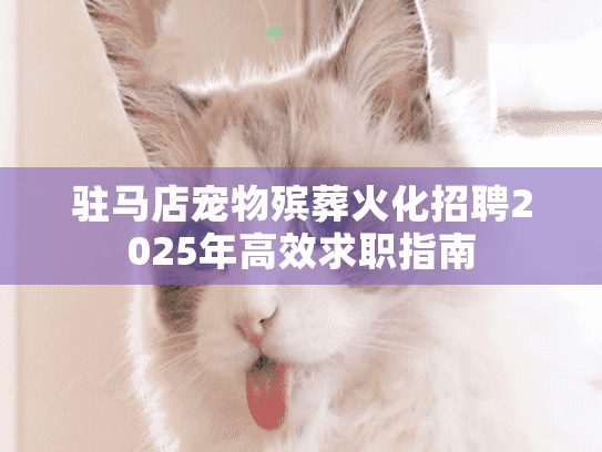 驻马店宠物殡葬火化招聘2025年高效求职指南