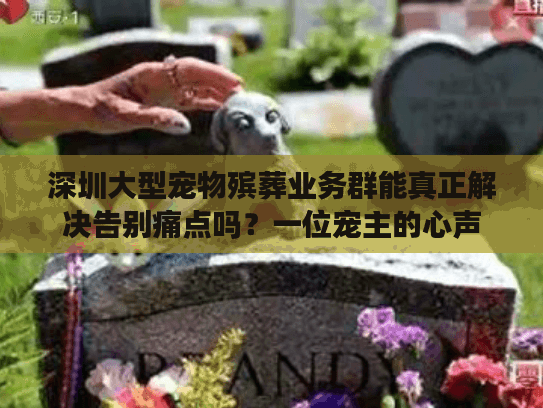深圳大型宠物殡葬业务群能真正解决告别痛点吗？一位宠主的心声