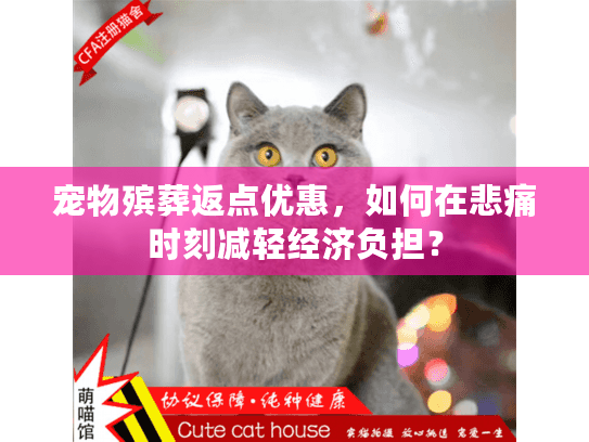 宠物殡葬返点优惠，如何在悲痛时刻减轻经济负担？