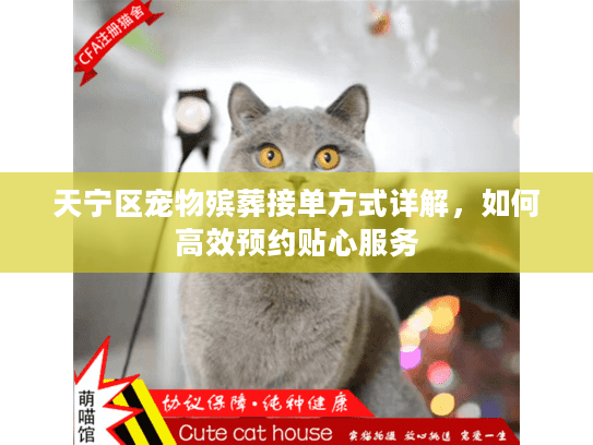 天宁区宠物殡葬接单方式详解，如何高效预约贴心服务