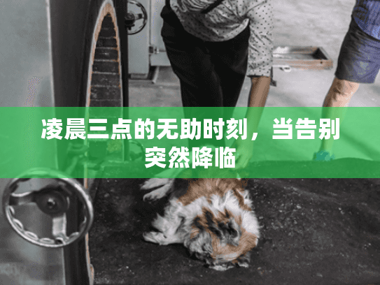 凌晨三点的无助时刻，当告别突然降临
