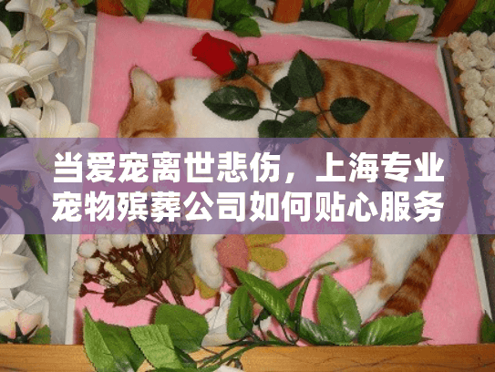 当爱宠离世悲伤，上海专业宠物殡葬公司如何贴心服务？