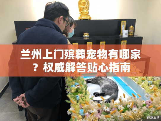 兰州上门殡葬宠物有哪家？权威解答贴心指南