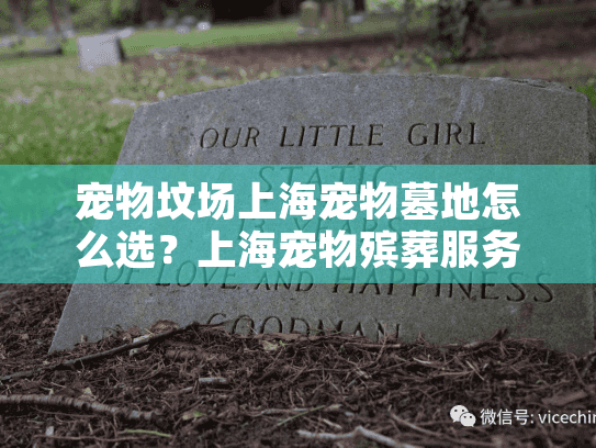 宠物坟场上海宠物墓地怎么选？上海宠物殡葬服务机构推荐及避坑指南