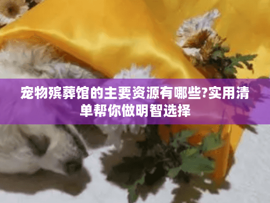 宠物殡葬馆的主要资源有哪些?实用清单帮你做明智选择 宠物殡葬馆的主要资源有哪些?实用清单帮你做明智选择