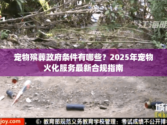 宠物殡葬政府条件有哪些？2025年宠物火化服务最新合规指南