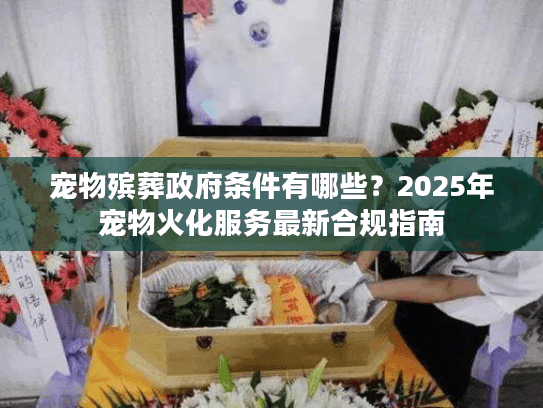 宠物殡葬政府条件有哪些？2025年宠物火化服务最新合规指南