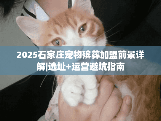2025石家庄宠物殡葬加盟前景详解|选址+运营避坑指南