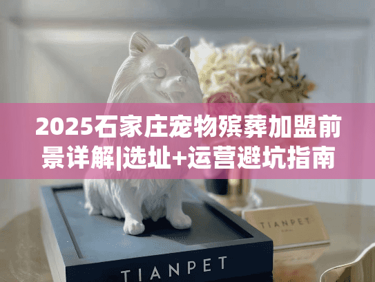2025石家庄宠物殡葬加盟前景详解|选址+运营避坑指南