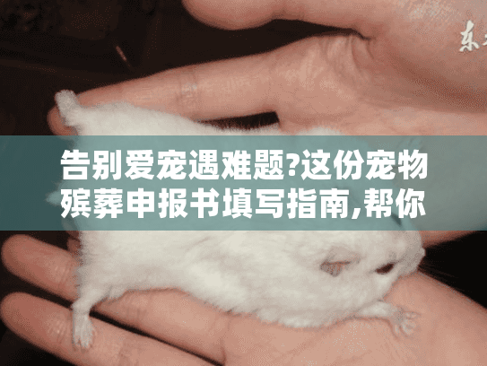 告别爱宠遇难题?这份宠物殡葬申报书填写指南,帮你避开所有雷区