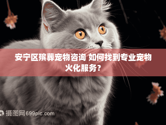安宁区殡葬宠物咨询 如何找到专业宠物火化服务？