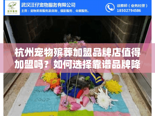 杭州宠物殡葬加盟品牌店值得加盟吗？如何选择靠谱品牌降低风险