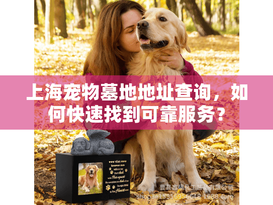 上海宠物墓地地址查询，如何快速找到可靠服务？