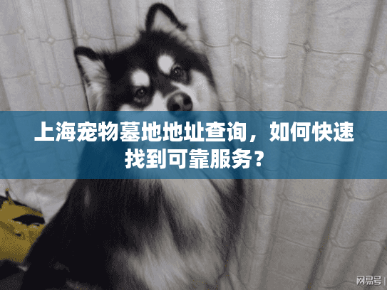 上海宠物墓地地址查询，如何快速找到可靠服务？