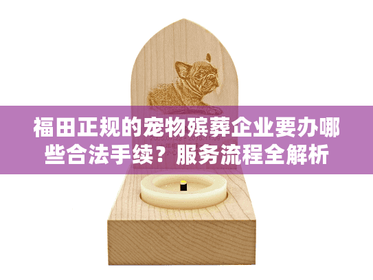 福田正规的宠物殡葬企业要办哪些合法手续？服务流程全解析