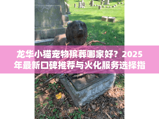 龙华小猫宠物殡葬哪家好？2025年最新口碑推荐与火化服务选择指南