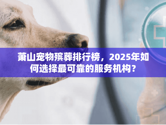 萧山宠物殡葬排行榜，2025年如何选择最可靠的服务机构？