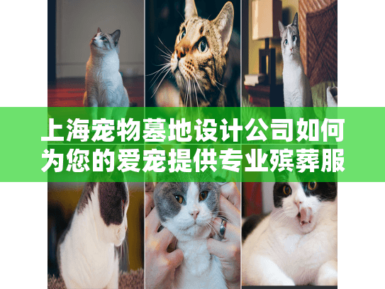 上海宠物墓地设计公司如何为您的爱宠提供专业殡葬服务？