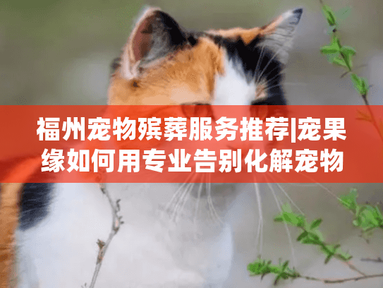 福州宠物殡葬服务推荐|宠果缘如何用专业告别化解宠物家长心碎时刻?