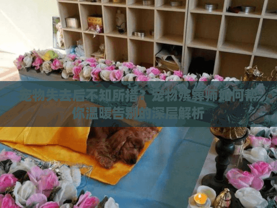 宠物失去后不知所措？宠物殡葬师如何帮你温暖告别的深层解析