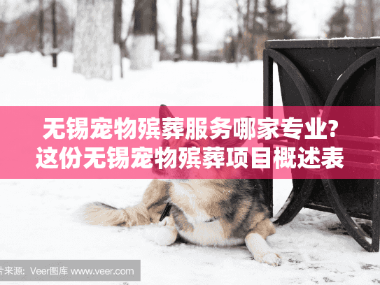 无锡宠物殡葬服务哪家专业?这份无锡宠物殡葬项目概述表帮你避坑