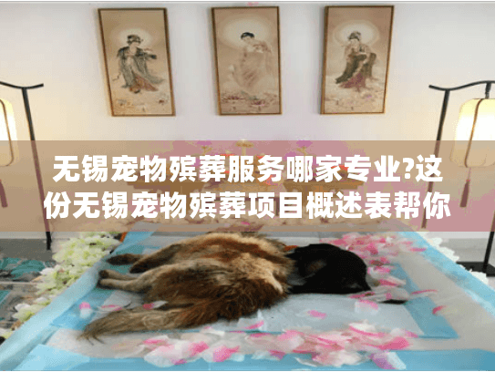 无锡宠物殡葬服务哪家专业?这份无锡宠物殡葬项目概述表帮你避坑