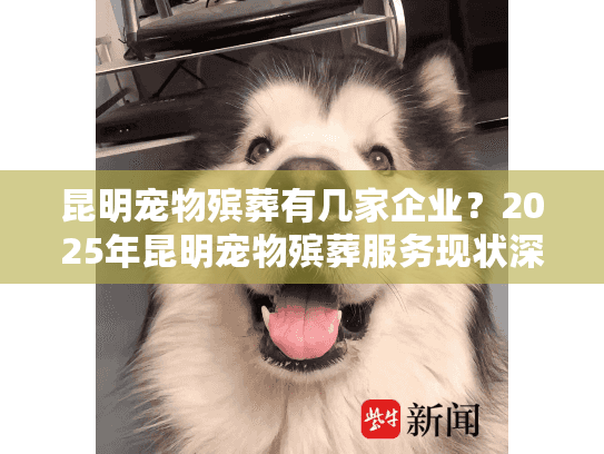 昆明宠物殡葬有几家企业？2025年昆明宠物殡葬服务现状深度揭秘