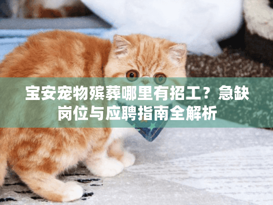 宝安宠物殡葬哪里有招工？急缺岗位与应聘指南全解析