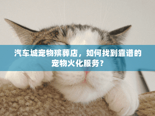汽车城宠物殡葬店，如何找到靠谱的宠物火化服务？