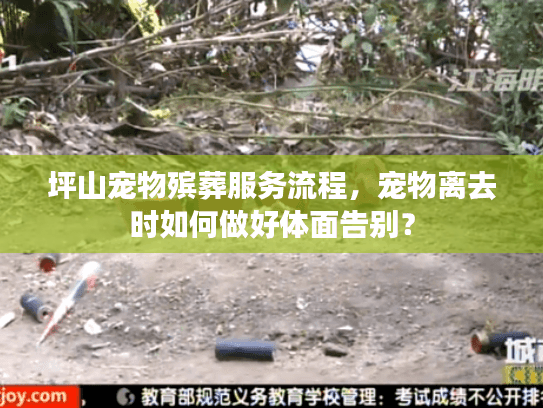 坪山宠物殡葬服务流程，宠物离去时如何做好体面告别？