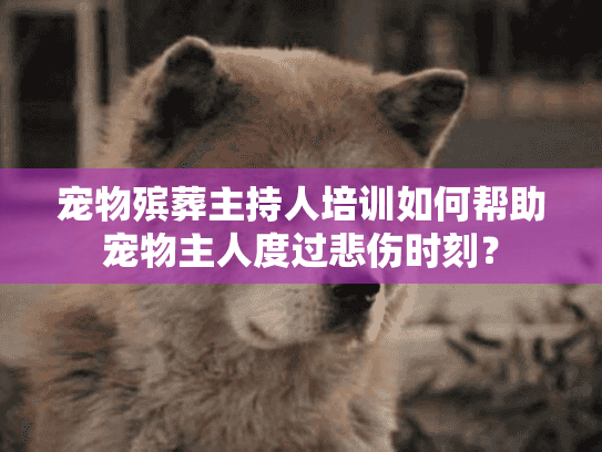 宠物殡葬主持人培训如何帮助宠物主人度过悲伤时刻？