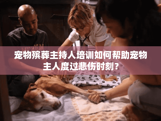 宠物殡葬主持人培训如何帮助宠物主人度过悲伤时刻？