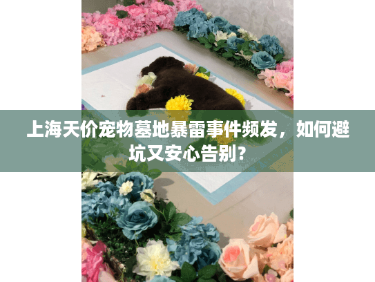 上海天价宠物墓地暴雷事件频发，如何避坑又安心告别？