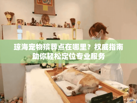 琼海宠物殡葬点在哪里？权威指南助你轻松定位专业服务
