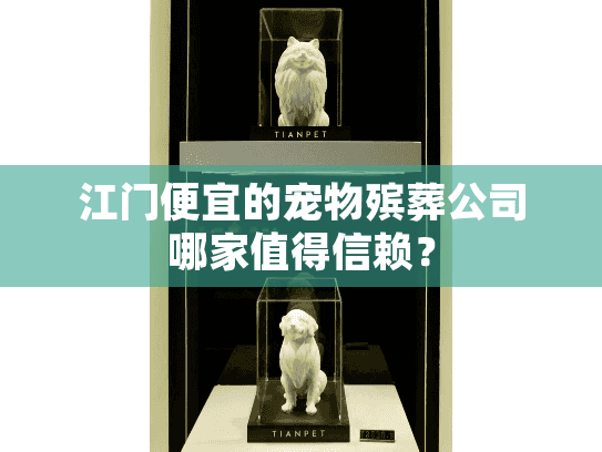 江门便宜的宠物殡葬公司哪家值得信赖？