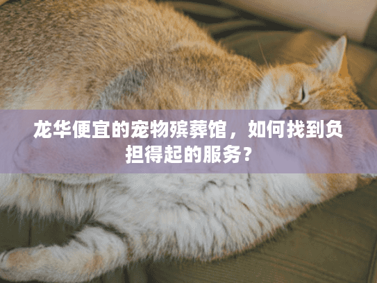 龙华便宜的宠物殡葬馆，如何找到负担得起的服务？