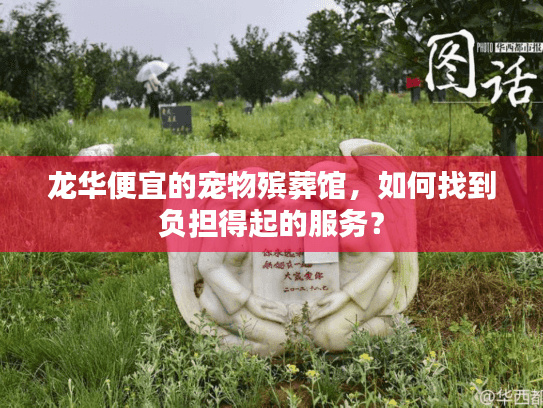 龙华便宜的宠物殡葬馆，如何找到负担得起的服务？