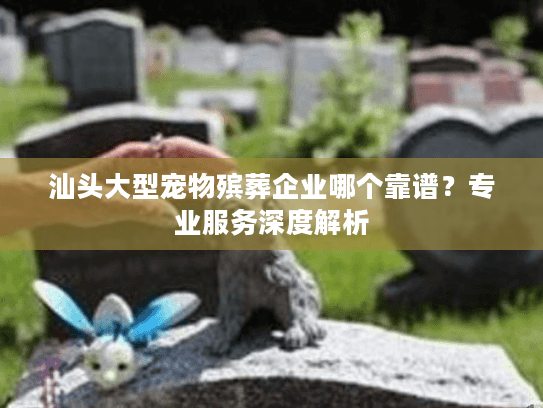 汕头大型宠物殡葬企业哪个靠谱？专业服务深度解析